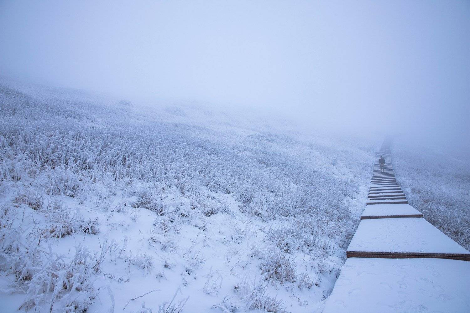 行走其间,大有古代侠客在风雪中独行的豪壮.