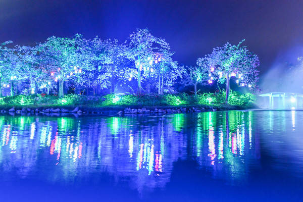 广东最大的光影秀，森波拉森境光影打开了全新的夜世界