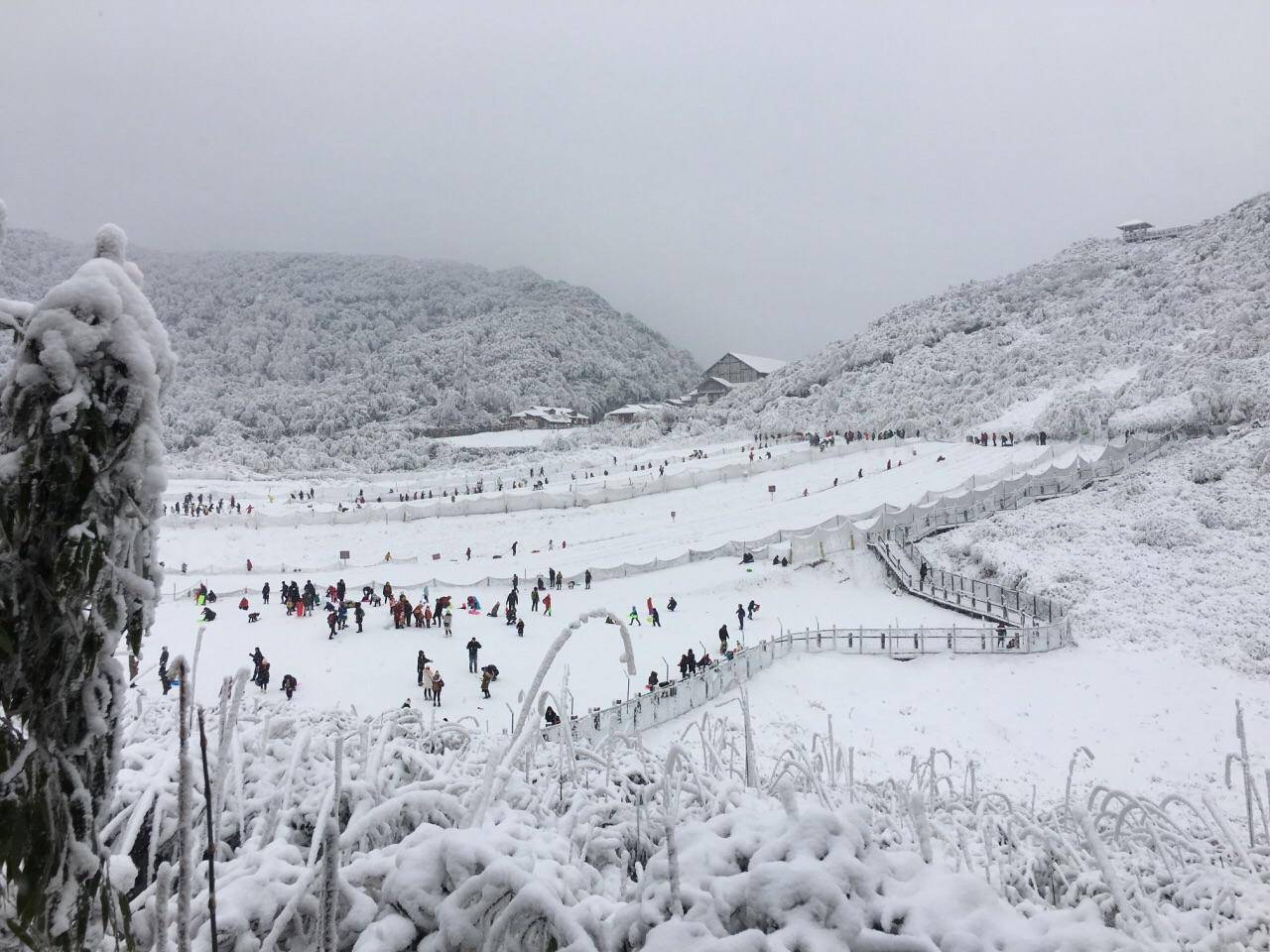 重庆仙女山,金佛山玩雪直通车开通了,滑雪更便捷直达不中转