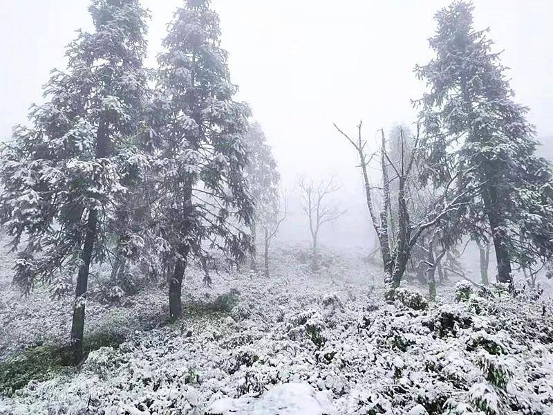 创建天府旅游名县雪雪雪四川兴文下雪啦