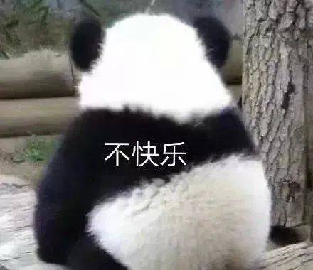表情包|大熊猫 总觉得有什么 不对劲