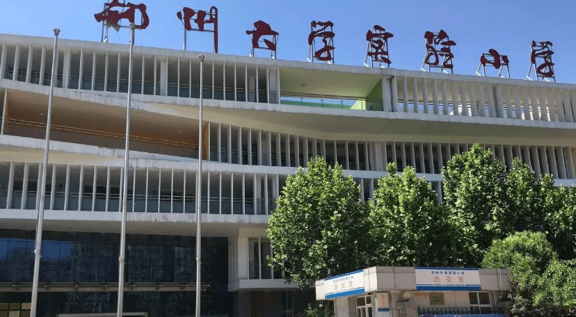 高新小学排名(3)