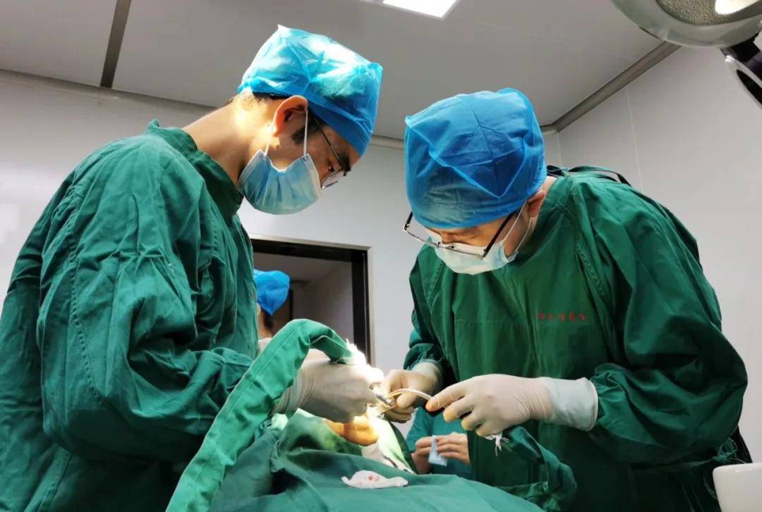 海南口腔医院三级医院开业一周年 乘风破浪正远
