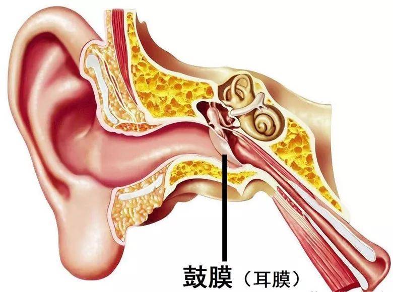 贵阳铭仁耳鼻喉医院:孩子鼓膜穿孔竟是由于一只笔,家长要注意这些细节