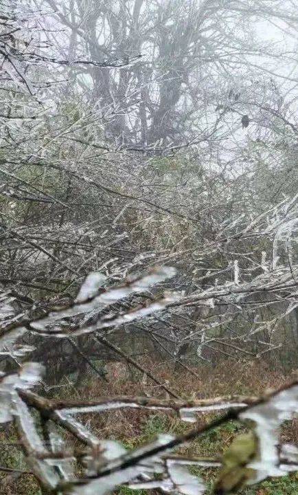 文山州这里下雪了?