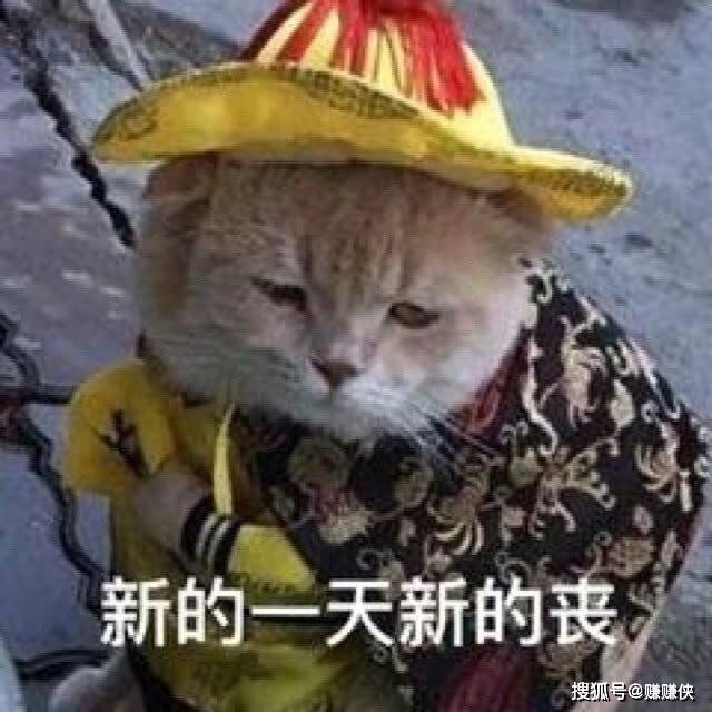 勾引表情包图片:努力憋笑