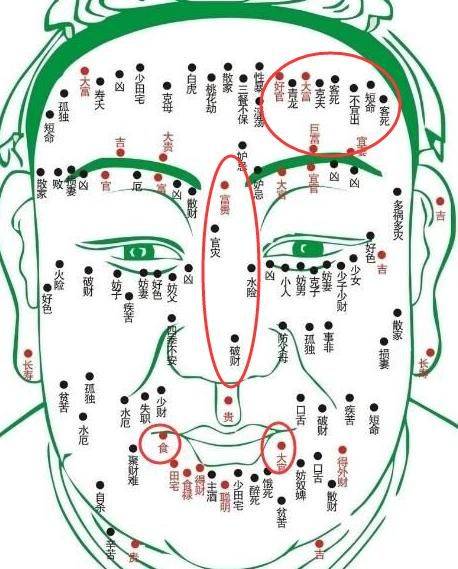 非珠人口流入_福州人口净流入趋势图(3)