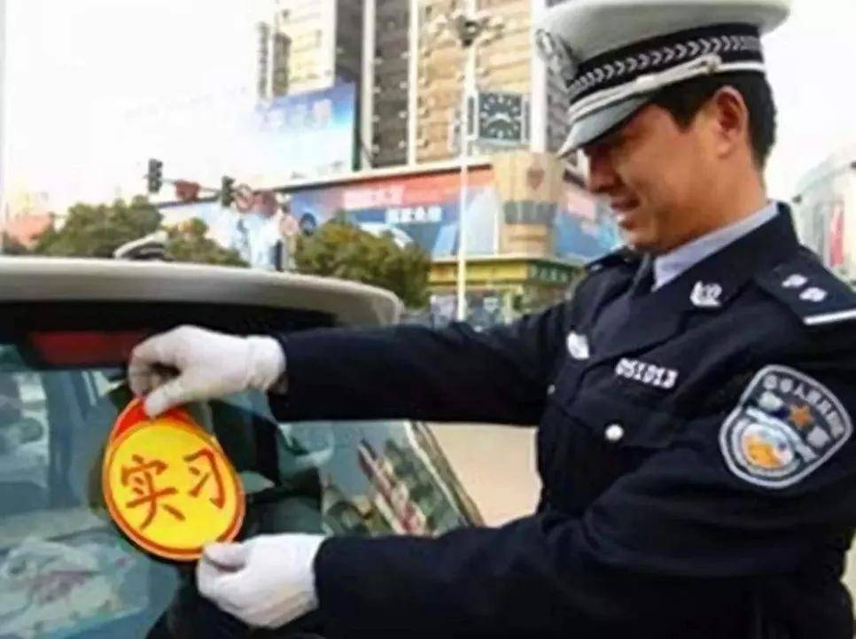 23d566b35b1644b6922ace17df1dec9e.jpeg
