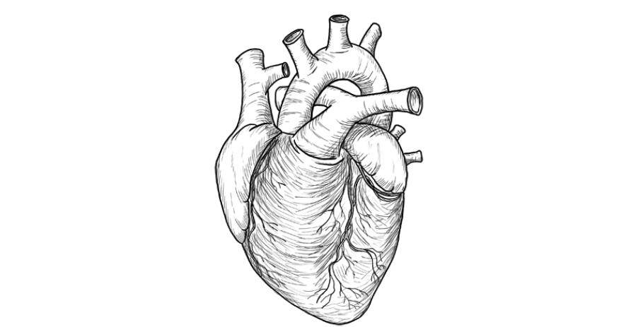 教你画出3d写实的心脏画法技巧!