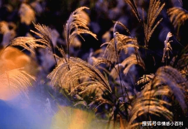 财不什么什么成语_成语故事图片