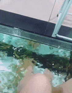 搞笑gif段子:曾经以为是王者,结果却是青铜