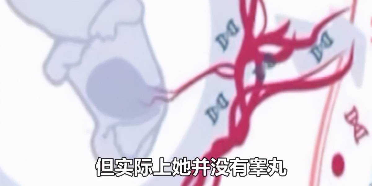 双性人口比_中国肥胖人口占比(2)