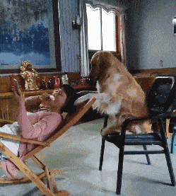 原创gif搞笑段子:媳妇,别太引人注目了,出门买菜穿件完整的衣服吧