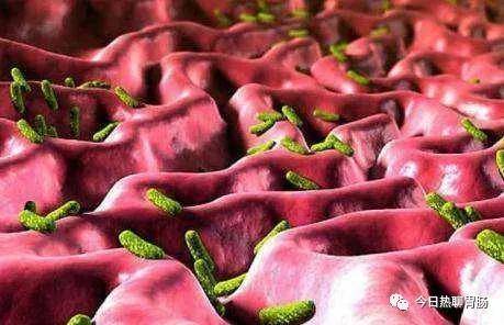 咋样腌萝卜咸菜 de969dfc0fd64df1b8ce13f70f51295b.jpeg