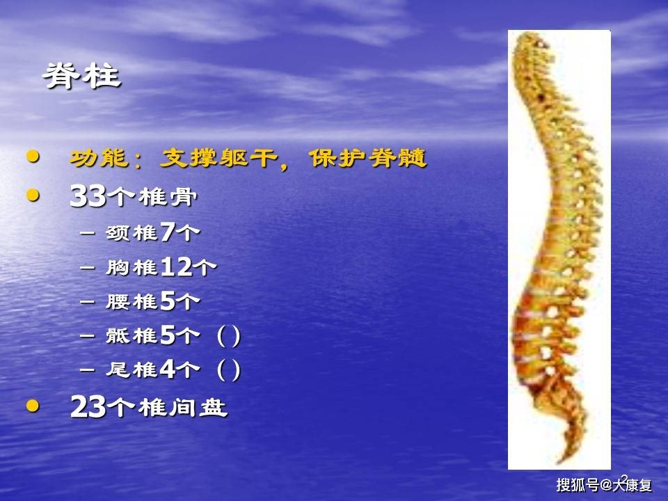 脊髓损伤的康复