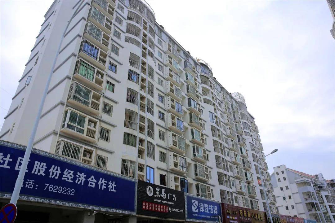 澄海蔡厝人口_澄海狮头鹅图片(2)