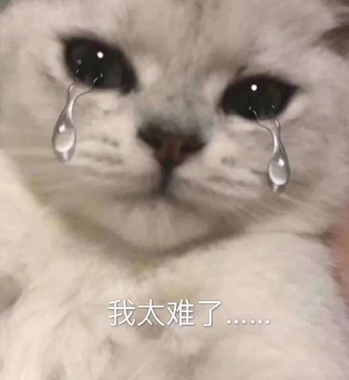 福建省高考2020年成_福建2020成考录取通知书陆续发放!
