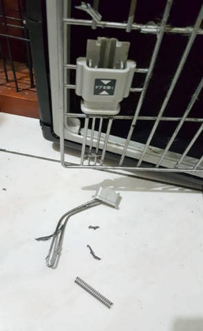 主人上班將柴犬鎖籠子裡，回來後柴犬還來開門，主人心都碎了 萌趣萌寵 第3张