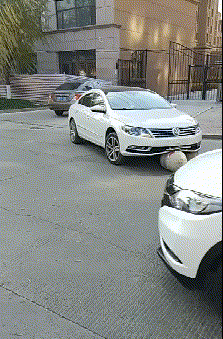 223_339gif 动态图 动图