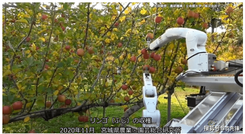 速度堪比人工的自主水果采摘机器人