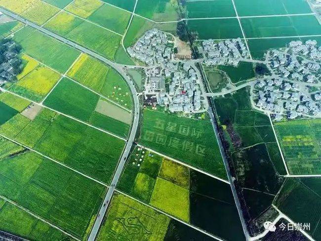 崇州gdp2020_崇州山渣小站(3)