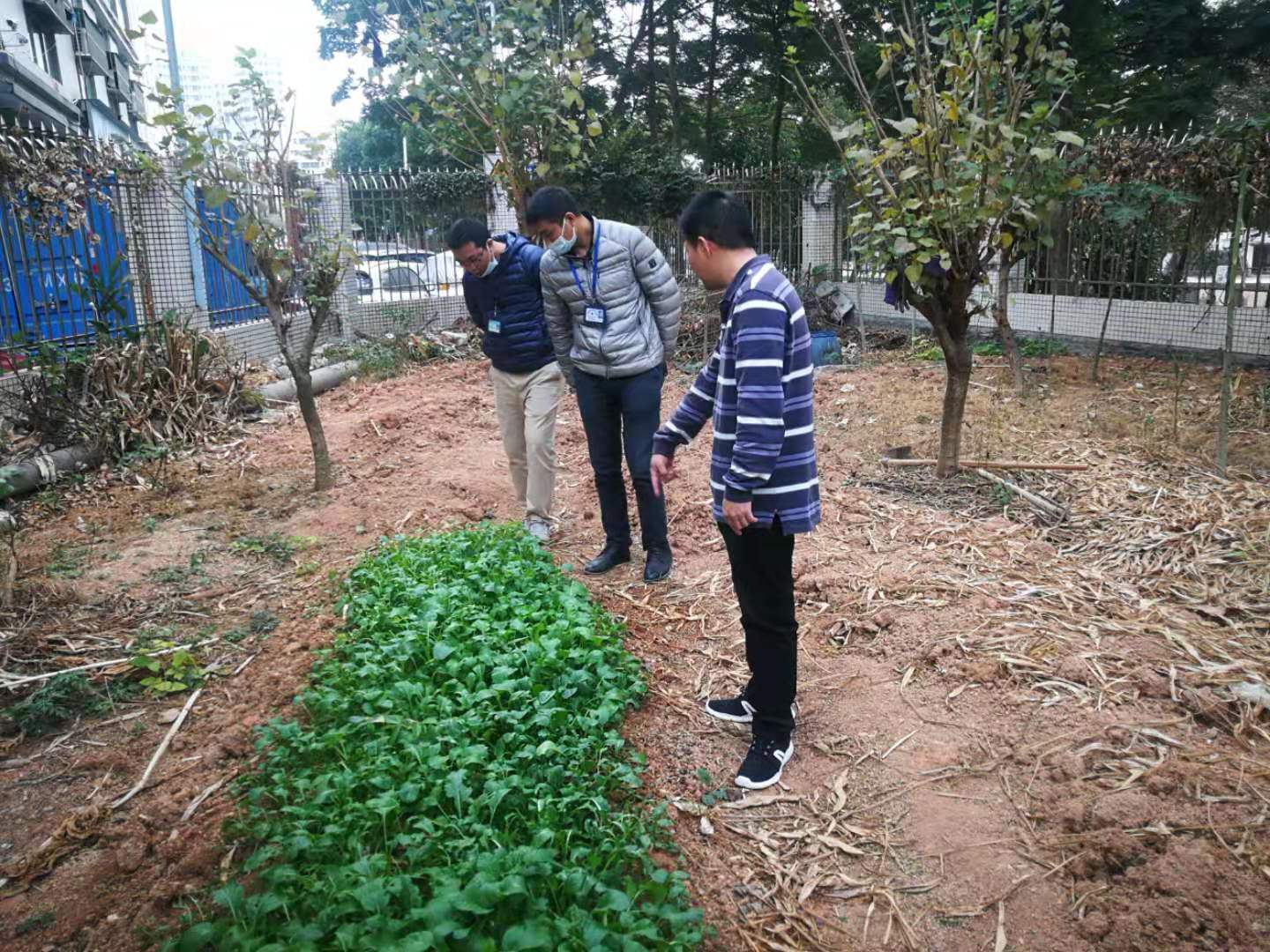 种植人口地_世界人口老龄化地图片