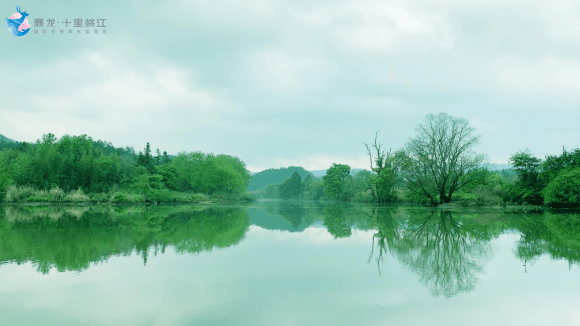 文旅融合发展，鼎龙·十里桃江打造乡村振兴新高地