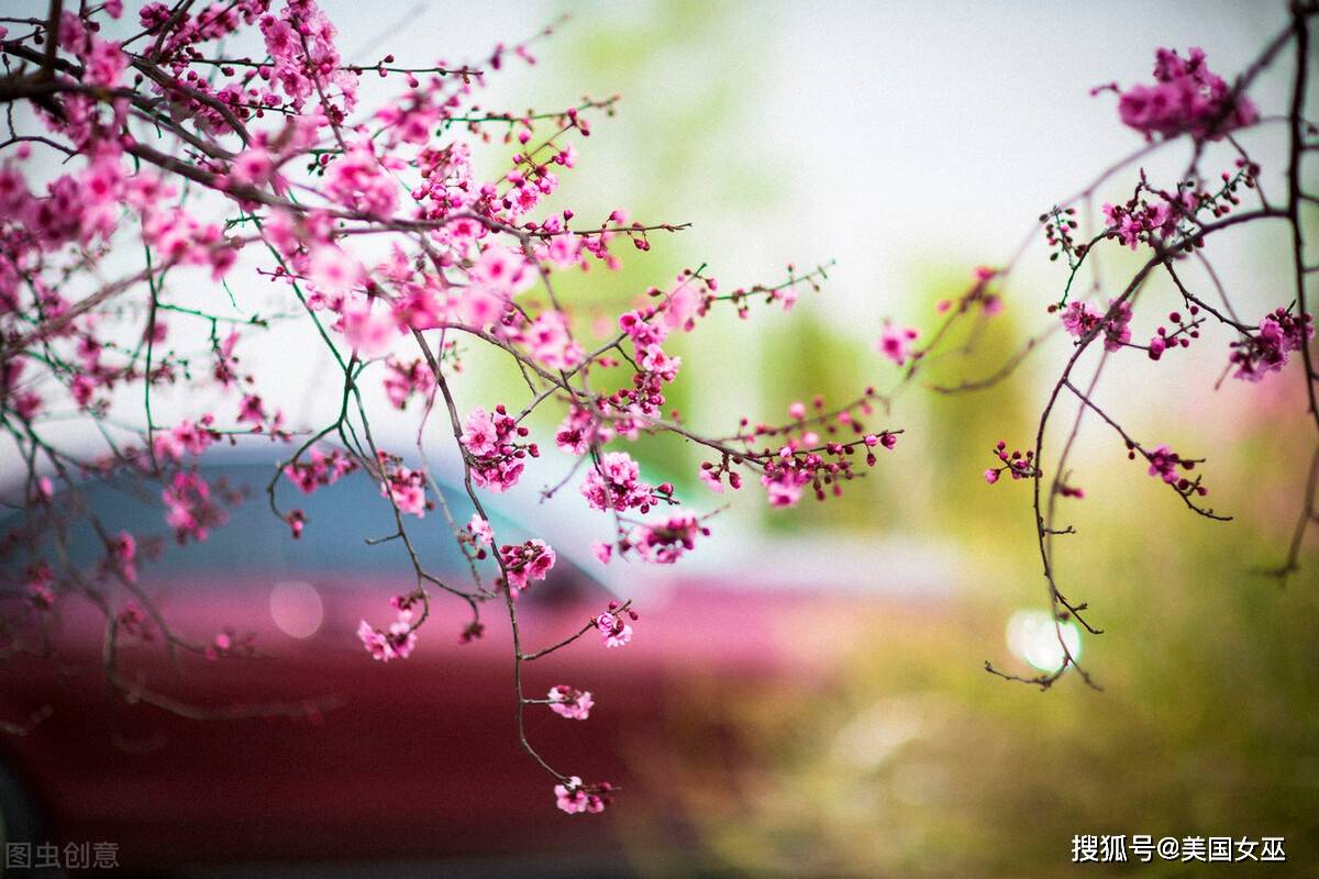 怎么让自己有城府心机 ccd587d3714d40969e19c2d99fb150df.jpeg