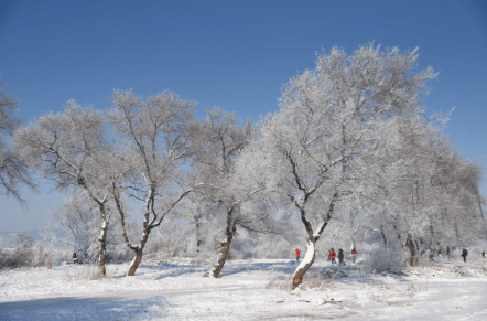 冰雪世界雾凇岛，凉席热炕大花袄，乌拉火锅粘豆包