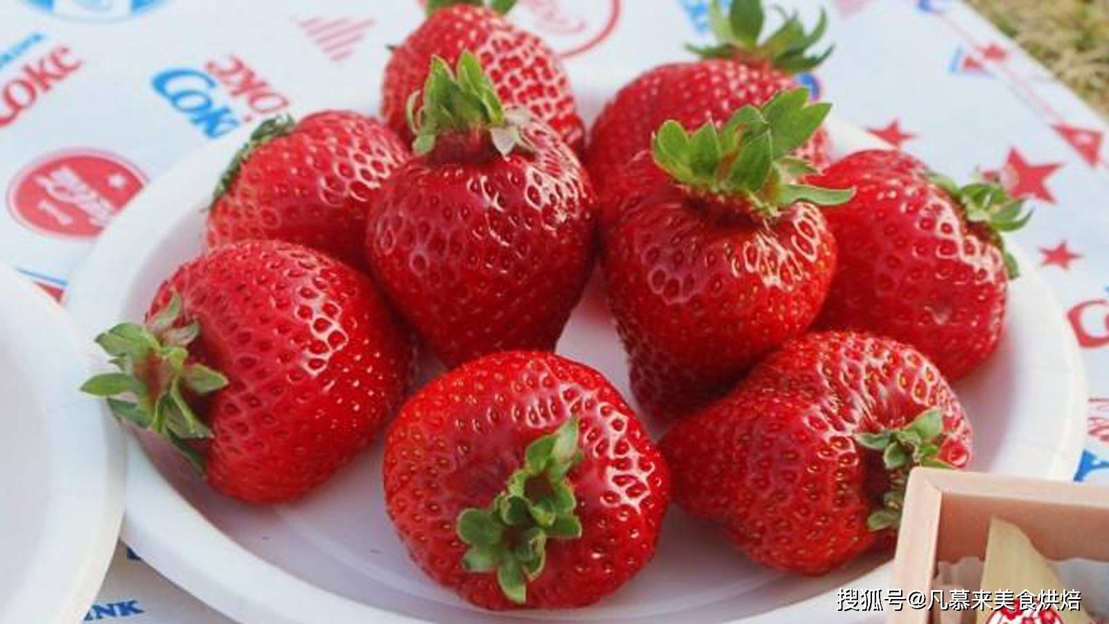草莓的主要种类和各自的特点 - 知乎