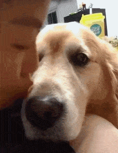 搞笑gif段子:小朋友,学的还挺像样的_什么