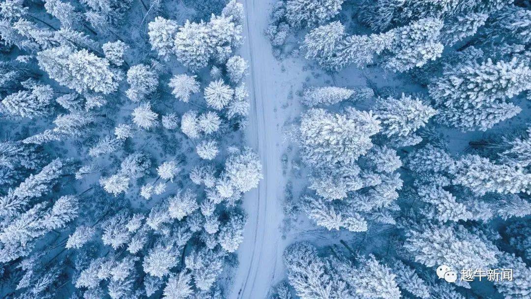最强寒潮明天抵达！一夜暴降13℃！绍兴城区会积