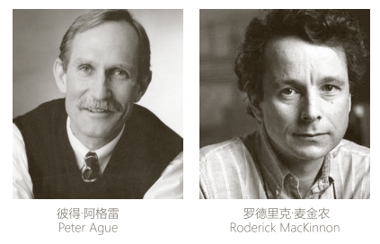 mackinnon)因发现离子通道而被瑞典皇家科学院授予诺贝尔化学奖