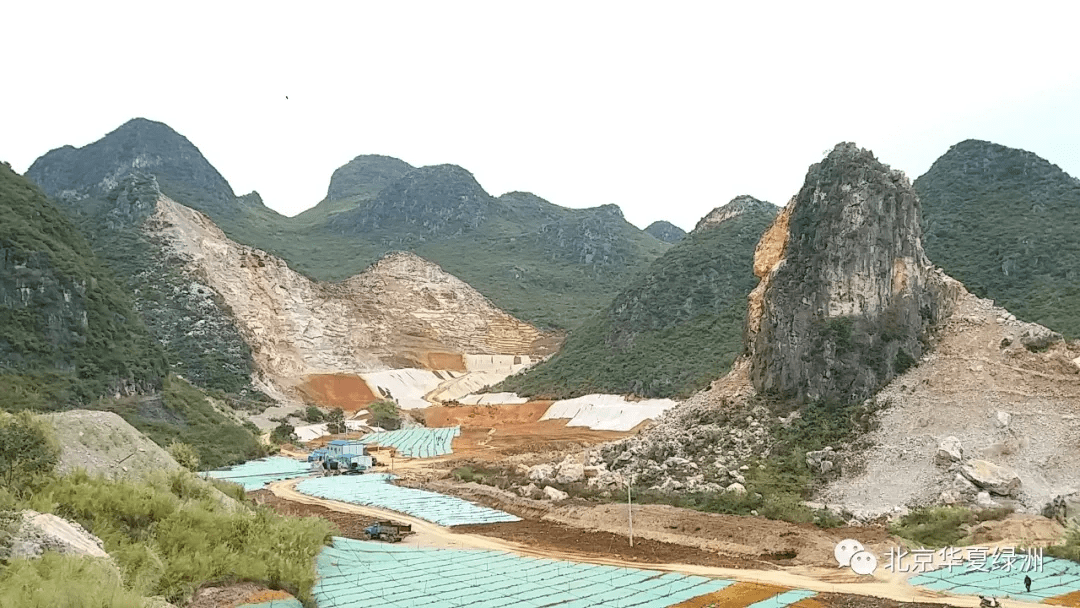 矿山废弃地生态植被恢复的特点