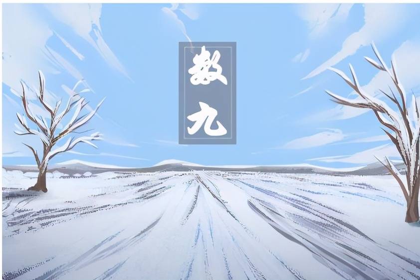 九什么雪成语_雪之下雪乃(2)