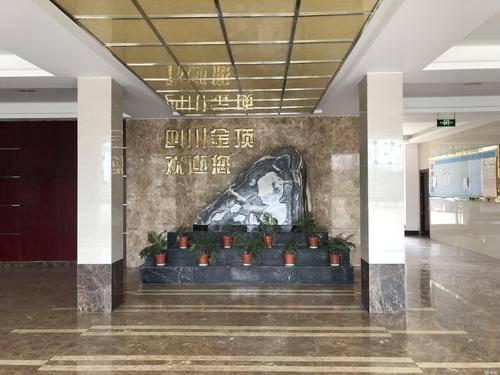 控股股东所持股份被冻结 四川金顶控股权转让或