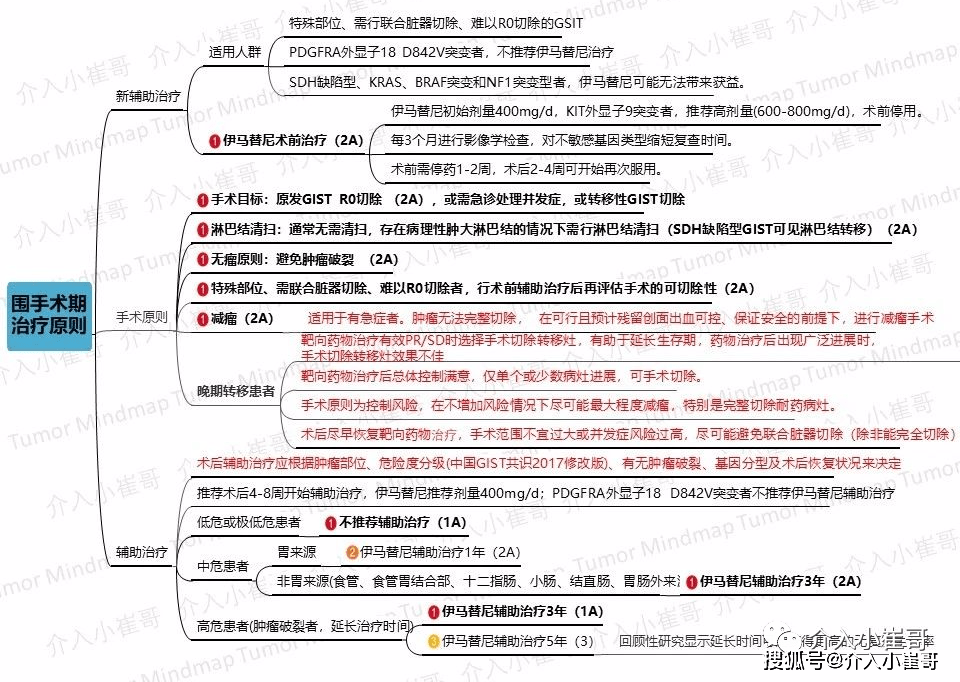 结直肠间质瘤的治疗原则11胃肠外间质瘤的治疗原则12伴需急诊处理症状