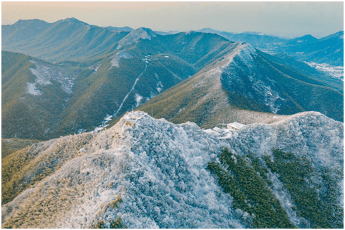 下雪了！常州溧阳南山竹海银装素裹美如画