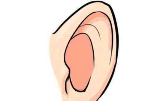 耳什么离腮成语_耳下腮部有肿块是什么(2)