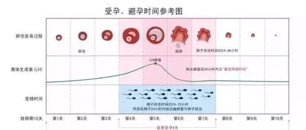 5a0e0ef5c91f4fd1bac18f21ff5f9838.png
