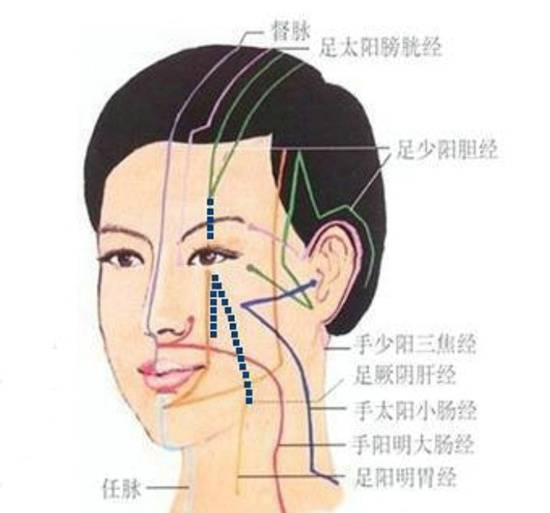 足背部支脉:从足背上(冲阳)分出,进入足大趾内侧端(隐白),与足太阴