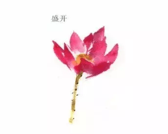 花瓣凋落后,只剩下花蕊部分,并由此慢慢结出果实.