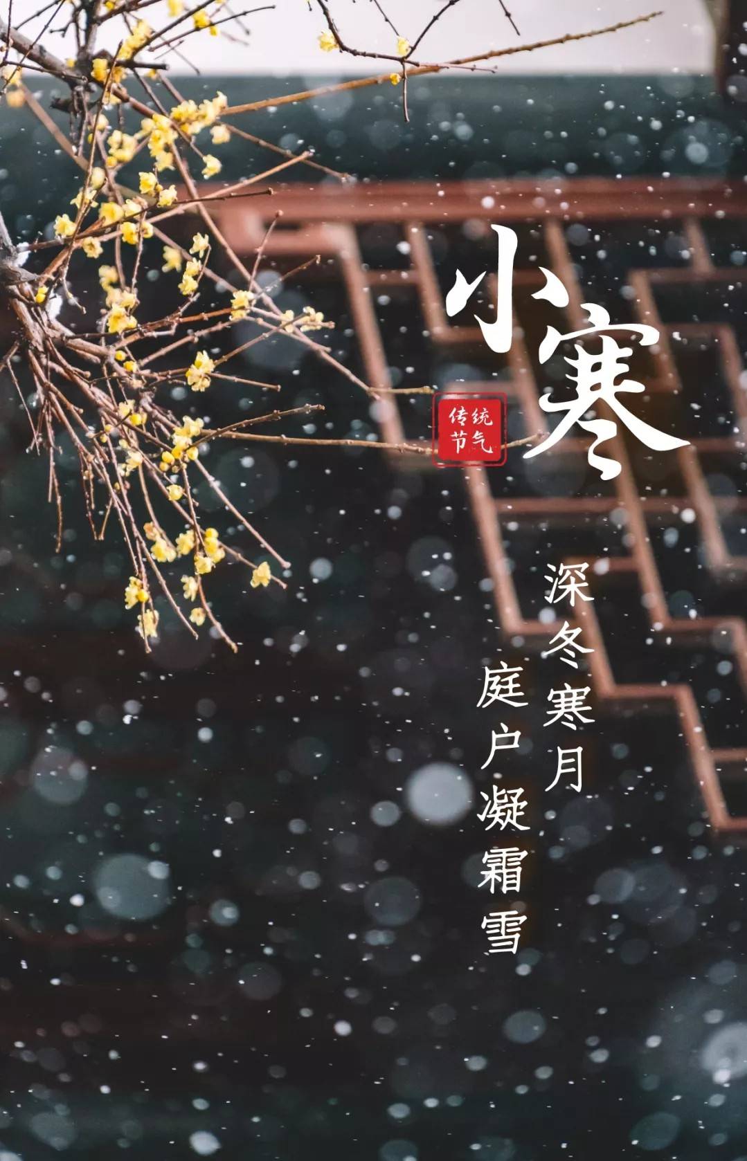 小寒江雨蒙蒙作小寒雪飘五老发毛斑