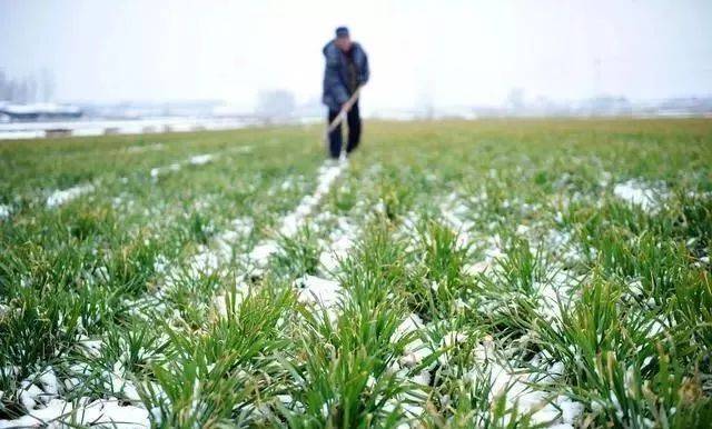 珠海多大面积多少人口_北京到珠海多少公里(2)
