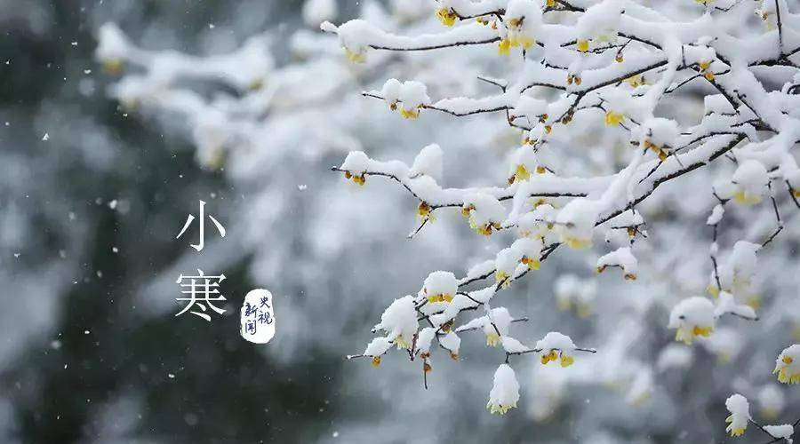 小寒江雨蒙蒙作小寒雪飘五老发毛斑