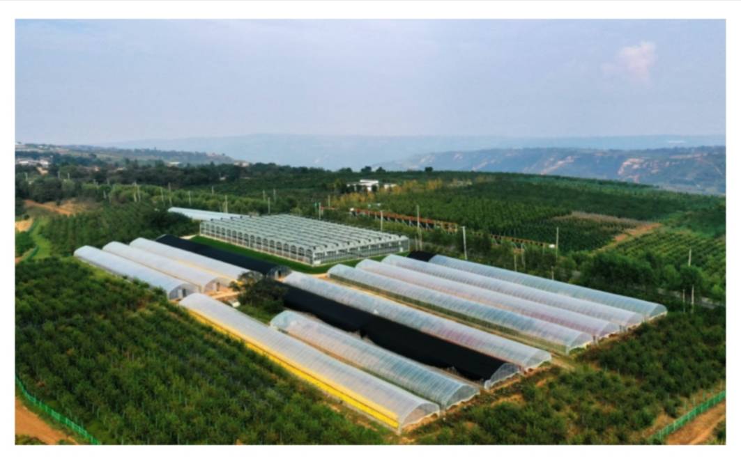 蓝田县2020gdp_蓝田县地图(3)