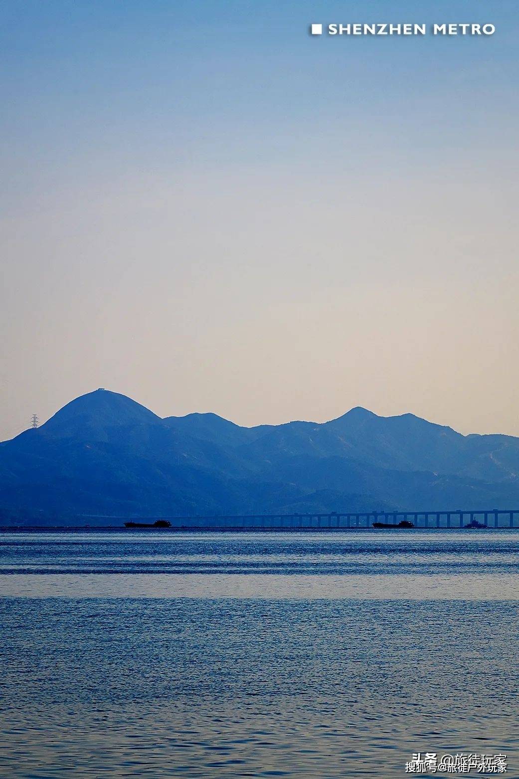 深圳地铁9号线邀你观鸟看海，万只候鸟回到深圳湾