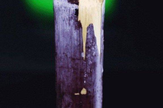 高碳水化合物的东西 777e3a8c29ee462e828b1ea14d8d9760.jpeg