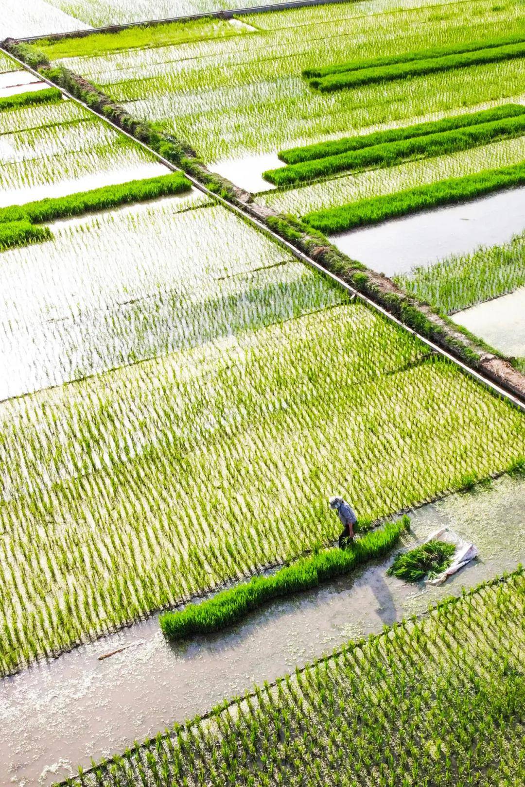 万石人口_万石植物园