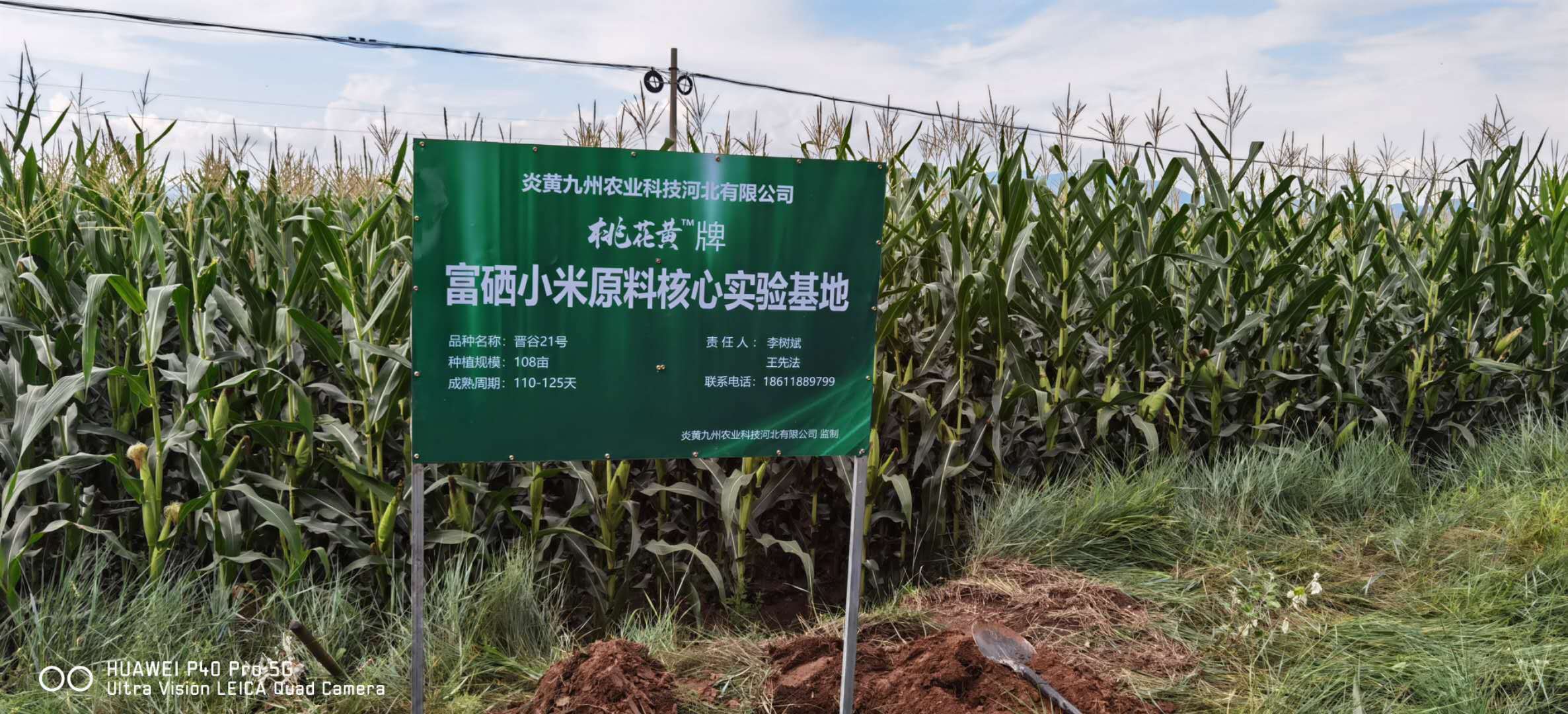 怎么成为大疆农业代理商 a8dd42724ec542a4a55668ad44709259.jpeg